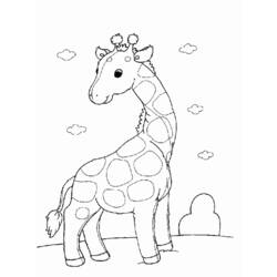 Раскраска: жираф (Животные) #7253 - Бесплатные раскраски для печати