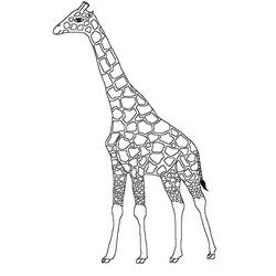 Раскраска: жираф (Животные) #7275 - Бесплатные раскраски для печати