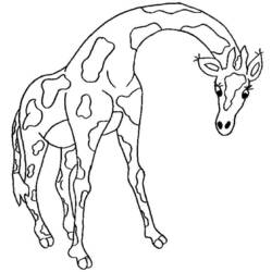 Раскраска: жираф (Животные) #7360 - Бесплатные раскраски для печати