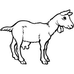 Раскраска: коза (Животные) #2408 - Бесплатные раскраски для печати