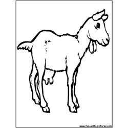Раскраска: коза (Животные) #2422 - Бесплатные раскраски для печати
