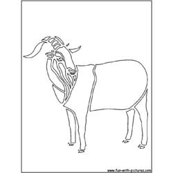 Раскраска: коза (Животные) #2433 - Бесплатные раскраски для печати