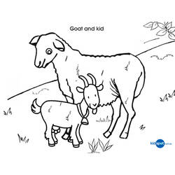 Раскраска: коза (Животные) #2437 - Бесплатные раскраски для печати