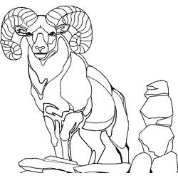 Раскраска: коза (Животные) #2448 - Бесплатные раскраски для печати