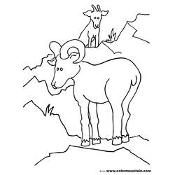 Раскраска: коза (Животные) #2450 - Бесплатные раскраски для печати