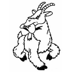 Раскраска: коза (Животные) #2462 - Бесплатные раскраски для печати