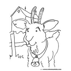 Раскраска: коза (Животные) #2464 - Бесплатные раскраски для печати