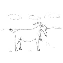 Раскраска: коза (Животные) #2474 - Бесплатные раскраски для печати