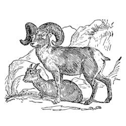 Раскраска: коза (Животные) #2483 - Бесплатные раскраски для печати