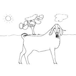 Раскраска: коза (Животные) #2495 - Бесплатные раскраски для печати