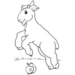 Раскраска: коза (Животные) #2498 - Бесплатные раскраски для печати