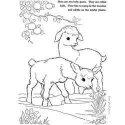 Раскраска: коза (Животные) #2520 - Бесплатные раскраски для печати