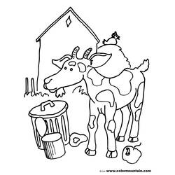 Раскраска: коза (Животные) #2552 - Бесплатные раскраски для печати