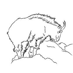 Раскраска: коза (Животные) #2559 - Бесплатные раскраски для печати