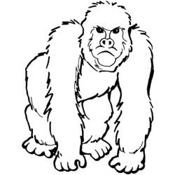 Раскраска: горилла (Животные) #7419 - Бесплатные раскраски для печати