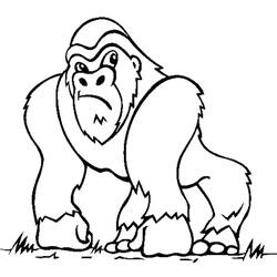 Раскраска: горилла (Животные) #7420 - Бесплатные раскраски для печати
