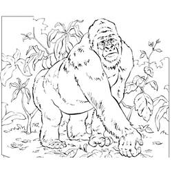 Раскраска: горилла (Животные) #7455 - Бесплатные раскраски для печати