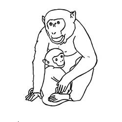 Раскраска: горилла (Животные) #7476 - Бесплатные раскраски для печати