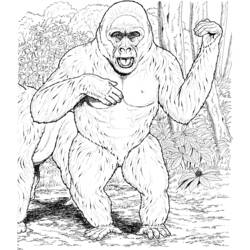 Раскраска: горилла (Животные) #7561 - Бесплатные раскраски для печати