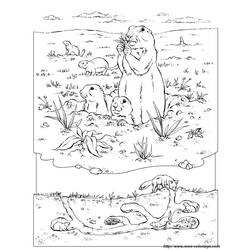 Раскраска: сурок (Животные) #11051 - Бесплатные раскраски для печати