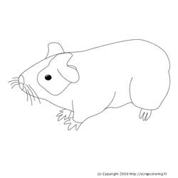 Раскраска: Индейка свинья (Животные) #18495 - Бесплатные раскраски для печати