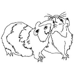 Раскраска: Индейка свинья (Животные) #18500 - Бесплатные раскраски для печати