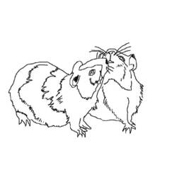 Раскраска: Индейка свинья (Животные) #18547 - Бесплатные раскраски для печати