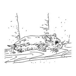 Раскраска: хомяк (Животные) #8120 - Бесплатные раскраски для печати