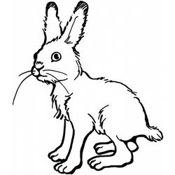 Раскраска: заяц (Животные) #10098 - Бесплатные раскраски для печати