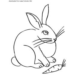 Раскраска: заяц (Животные) #10124 - Бесплатные раскраски для печати