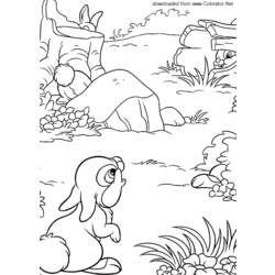 Раскраска: заяц (Животные) #10133 - Бесплатные раскраски для печати