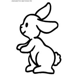 Раскраски: заяц - Бесплатные раскраски для печати
