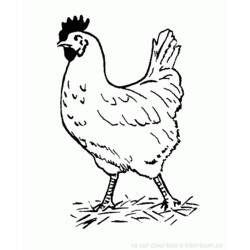 Раскраска: курица (Животные) #17427 - Бесплатные раскраски для печати