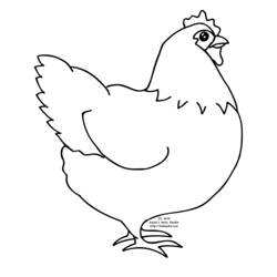 Раскраски: курица - Бесплатные раскраски для печати