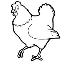 Раскраска: курица (Животные) #17448 - Бесплатные раскраски для печати