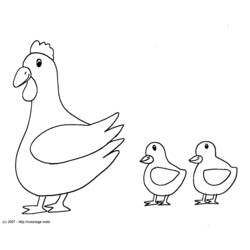 Раскраска: курица (Животные) #17454 - Бесплатные раскраски для печати