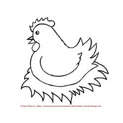 Раскраска: курица (Животные) #17498 - Бесплатные раскраски для печати