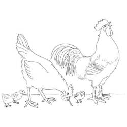 Раскраска: курица (Животные) #17544 - Бесплатные раскраски для печати