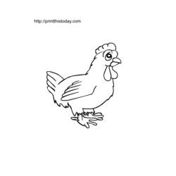 Раскраска: курица (Животные) #17619 - Бесплатные раскраски для печати
