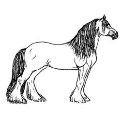Раскраска: лошадь (Животные) #2166 - Бесплатные раскраски для печати