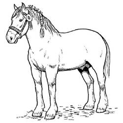 Раскраска: лошадь (Животные) #2168 - Бесплатные раскраски для печати