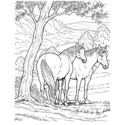 Раскраска: лошадь (Животные) #2172 - Бесплатные раскраски для печати