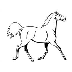 Раскраска: лошадь (Животные) #2182 - Бесплатные раскраски для печати