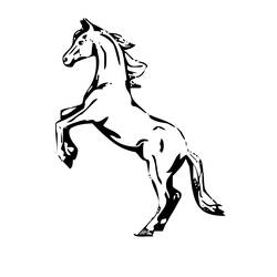 Раскраска: лошадь (Животные) #2190 - Бесплатные раскраски для печати