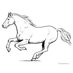 Раскраска: лошадь (Животные) #2237 - Бесплатные раскраски для печати