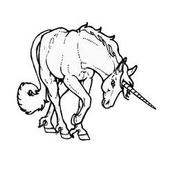 Раскраска: лошадь (Животные) #2351 - Бесплатные раскраски для печати