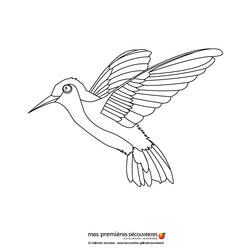 Раскраска: колибри (Животные) #3797 - Бесплатные раскраски для печати