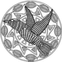 Раскраска: колибри (Животные) #3806 - Бесплатные раскраски для печати