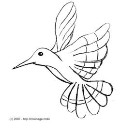 Раскраска: колибри (Животные) #3818 - Бесплатные раскраски для печати