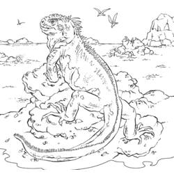 Раскраска: игуана (Животные) #8913 - Бесплатные раскраски для печати
